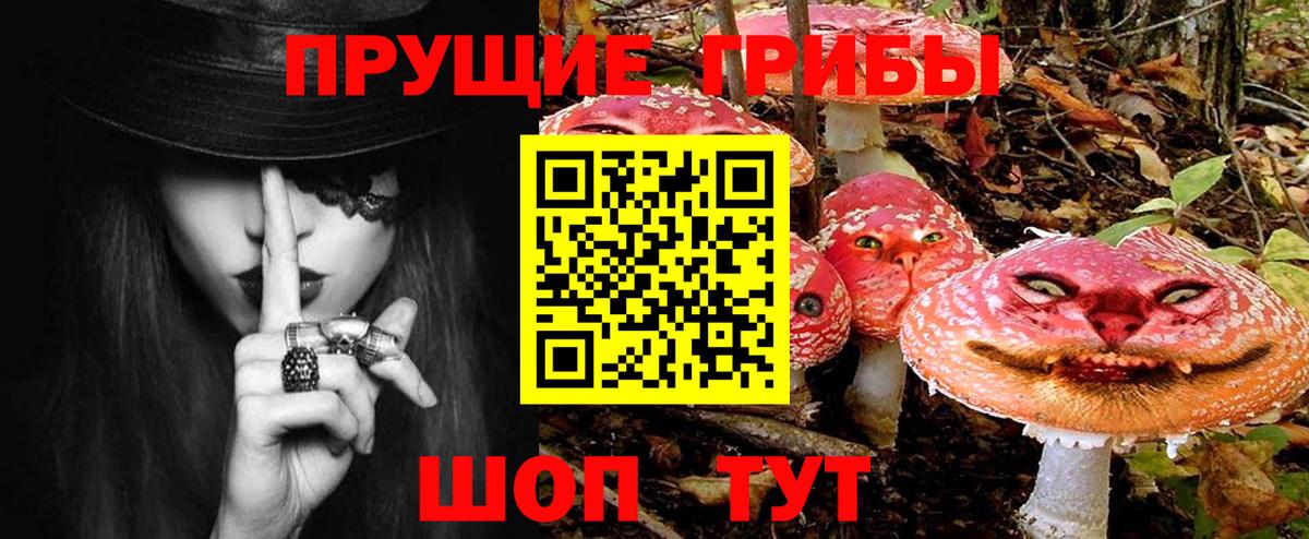 Псилоцибиновые грибы мицелий Минусинск